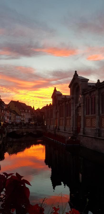 New ! Vue Petite Venise, Place To Be - Parking Colmar Exterior photo